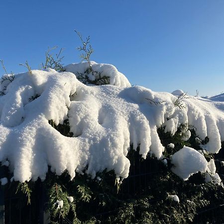 Ferien Am Hofe Lägenhet Hainewalde Exteriör bild