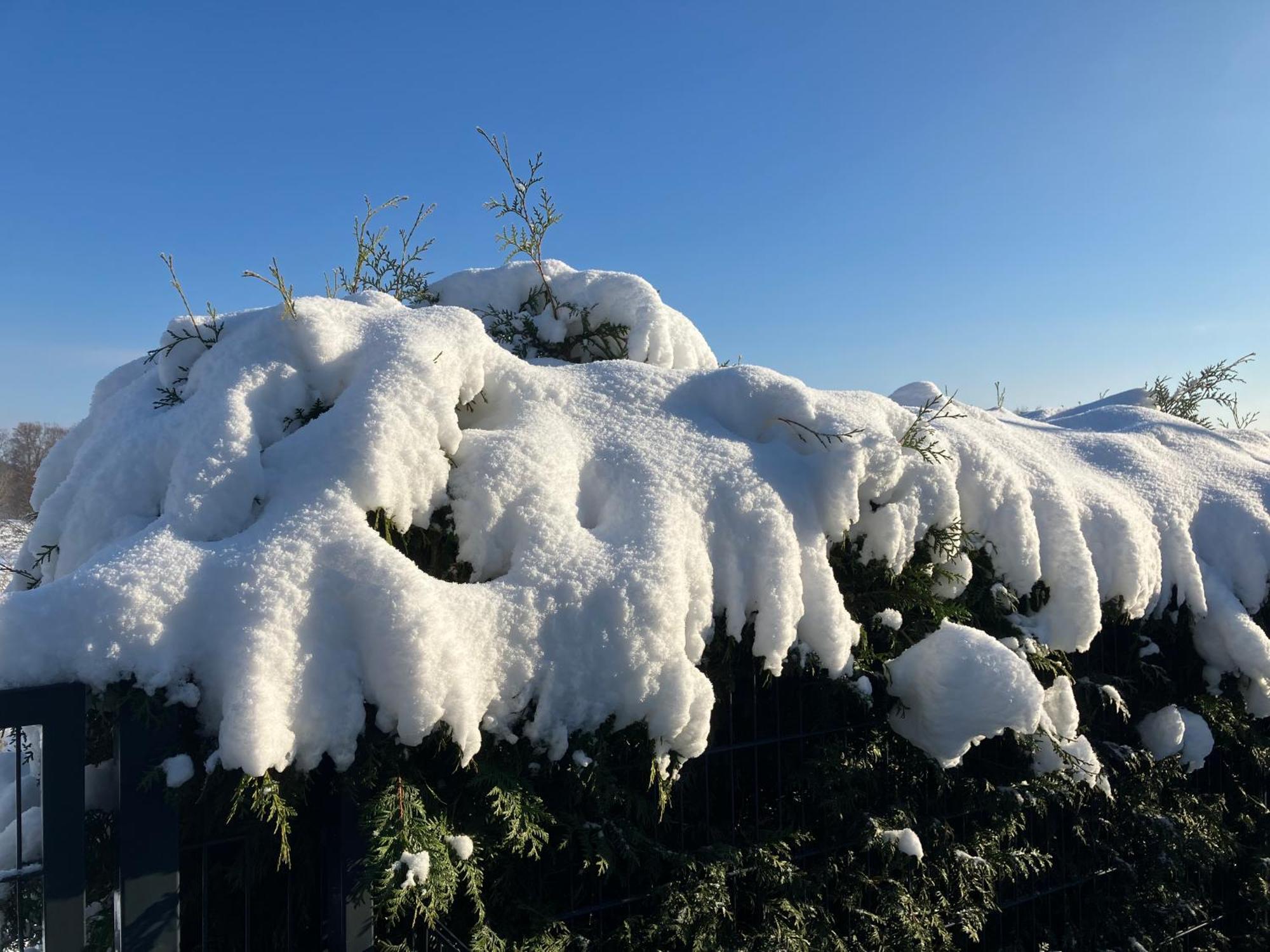 Ferien Am Hofe Lägenhet Hainewalde Exteriör bild